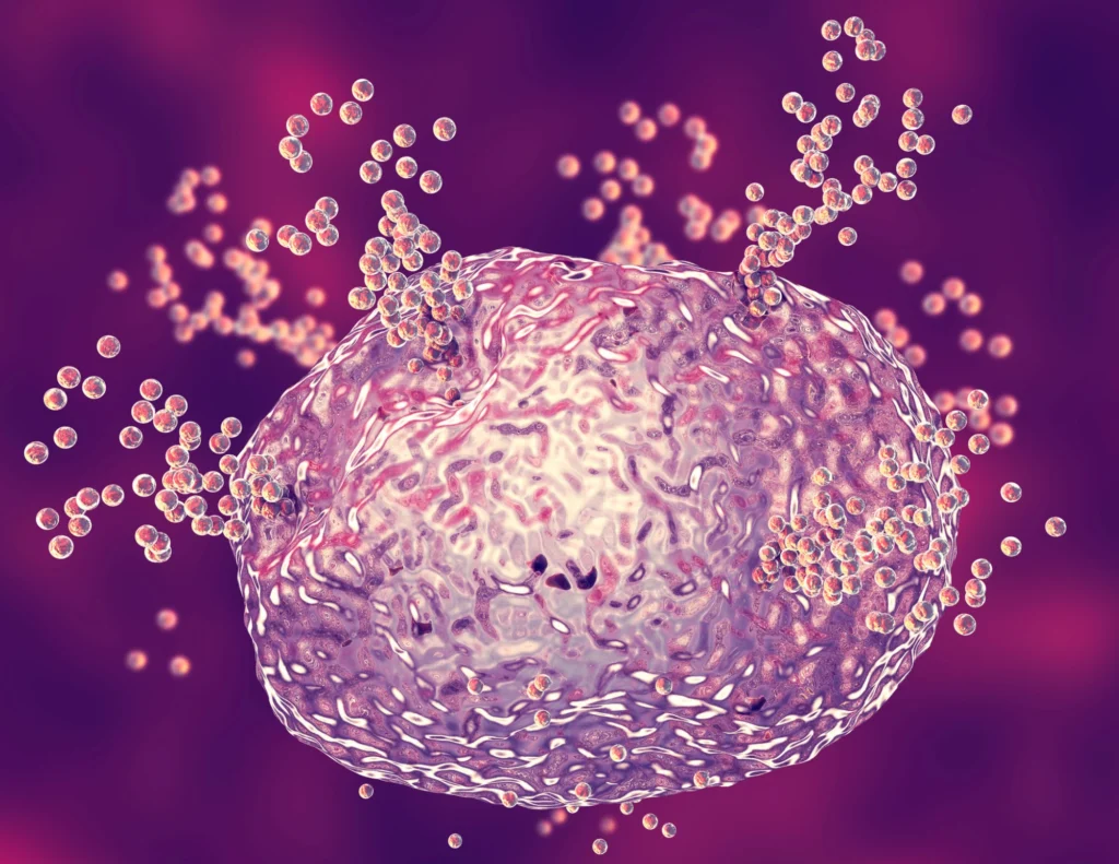 mast-cell degranulation and histamine release